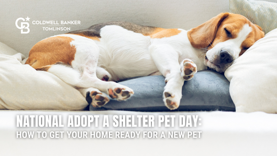 Shelter Pets